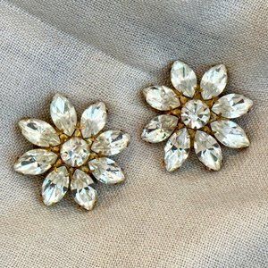 Crystal Statement Cluster Earrings